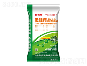 ��΢��Ԫ�ط���-����}-�Ν�(r��n)�l(f��)-�Ą�(chu��ng)��ţ