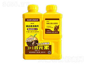 �j(lu��)�ϑҸ����}+�F�\��τ�-�΄P��-�Ą�(chu��ng)��ţ