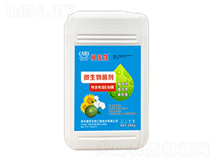 ΢�������-���t(y��)��-�İ����� 